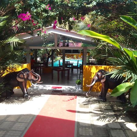 Hotel La Perla Bentota Extérieur photo