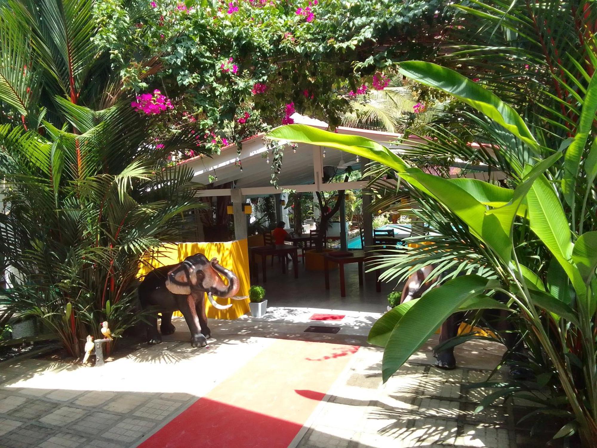 Hotel La Perla Bentota Extérieur photo