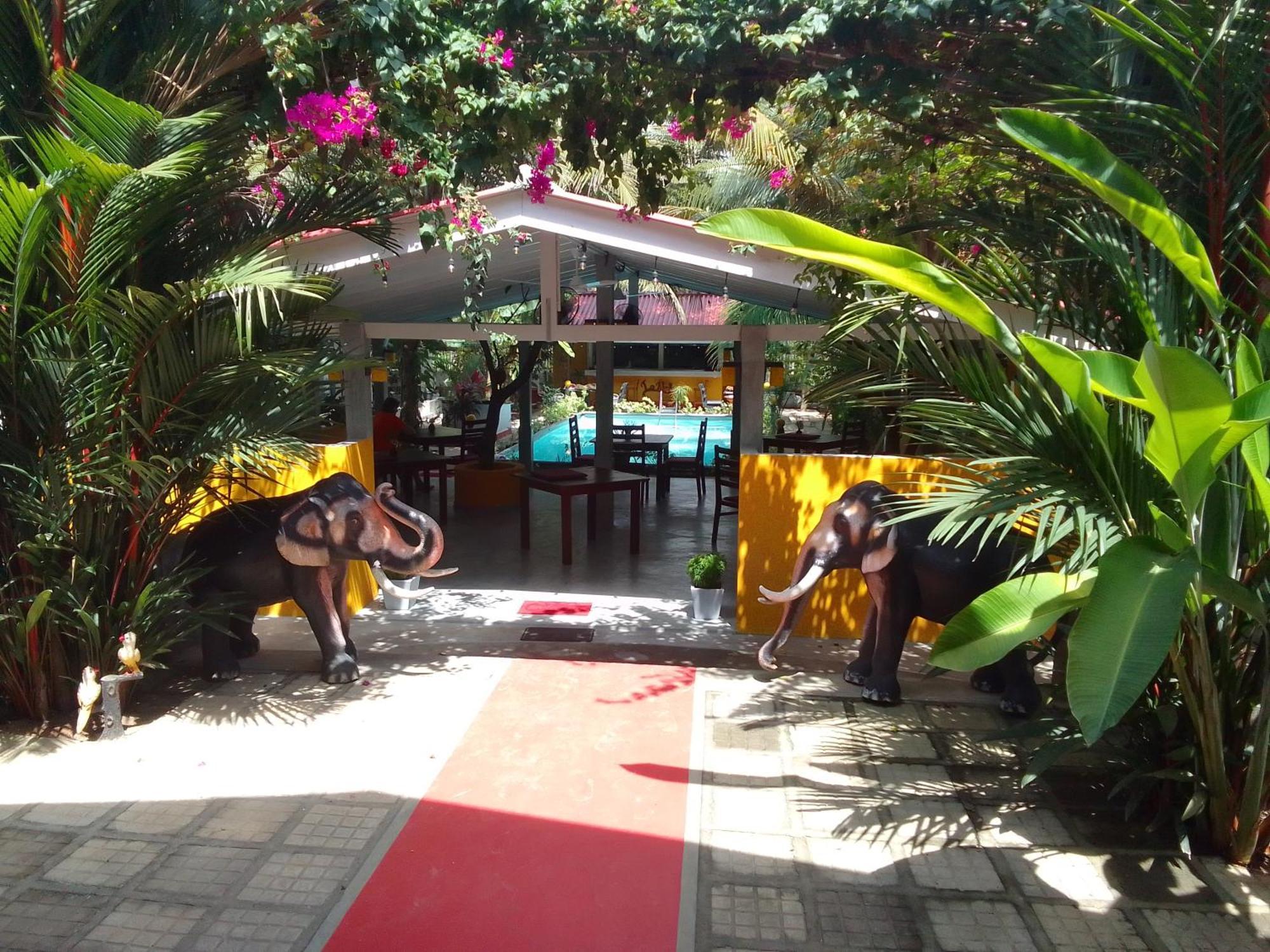 Hotel La Perla Bentota Extérieur photo